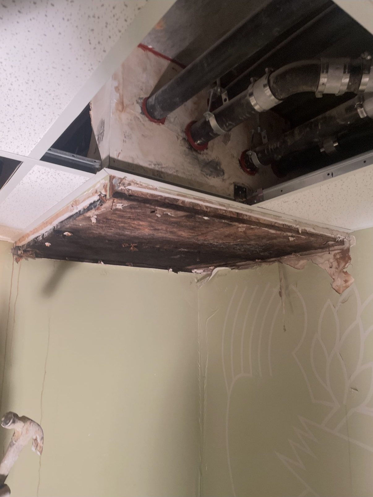 Leak-damaged and dry-rotted ceiling structure exposed at Archimedes Banya