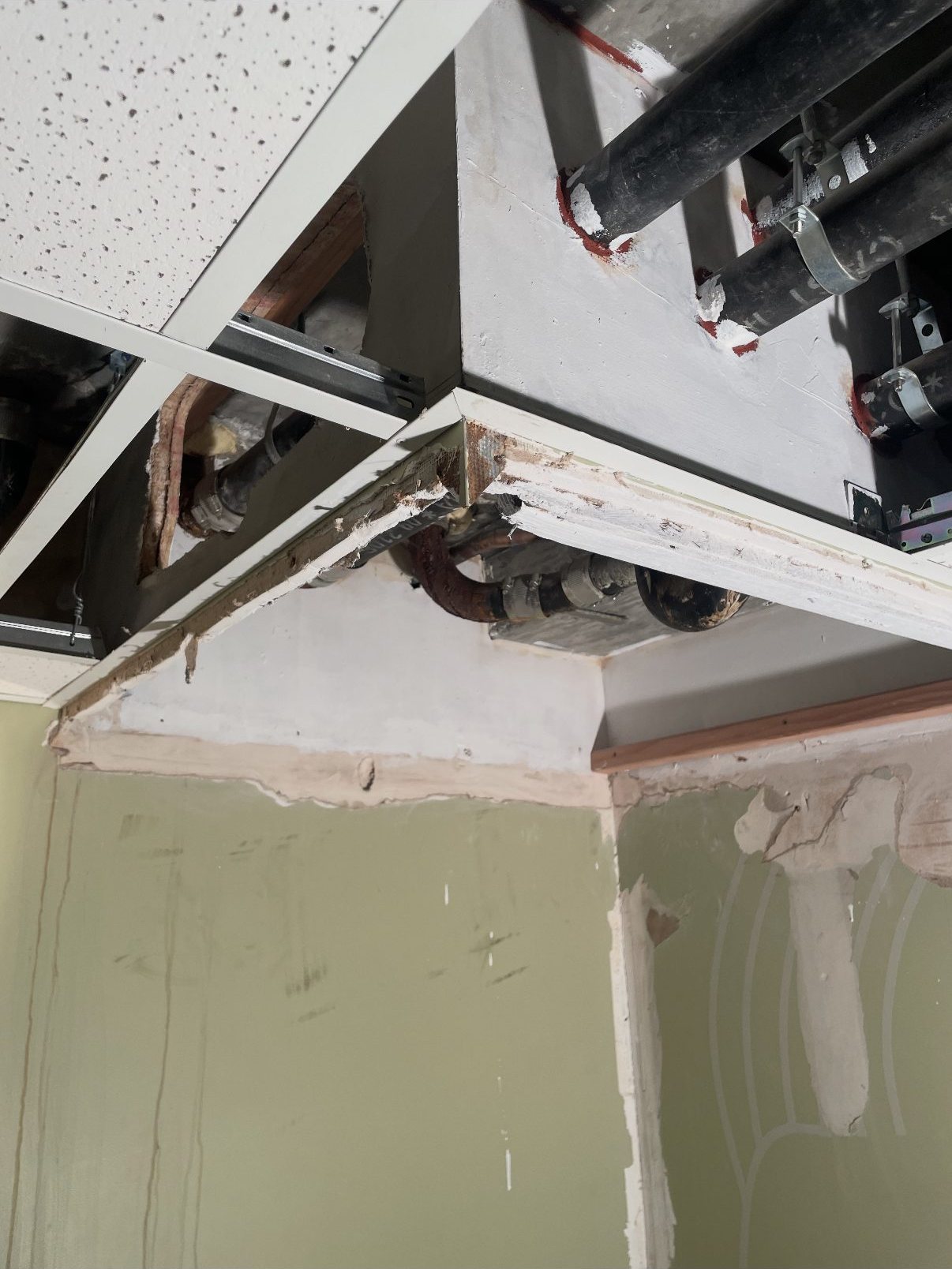 Exposed ceiling area cleaned and prepared for dry-rot reconstruction